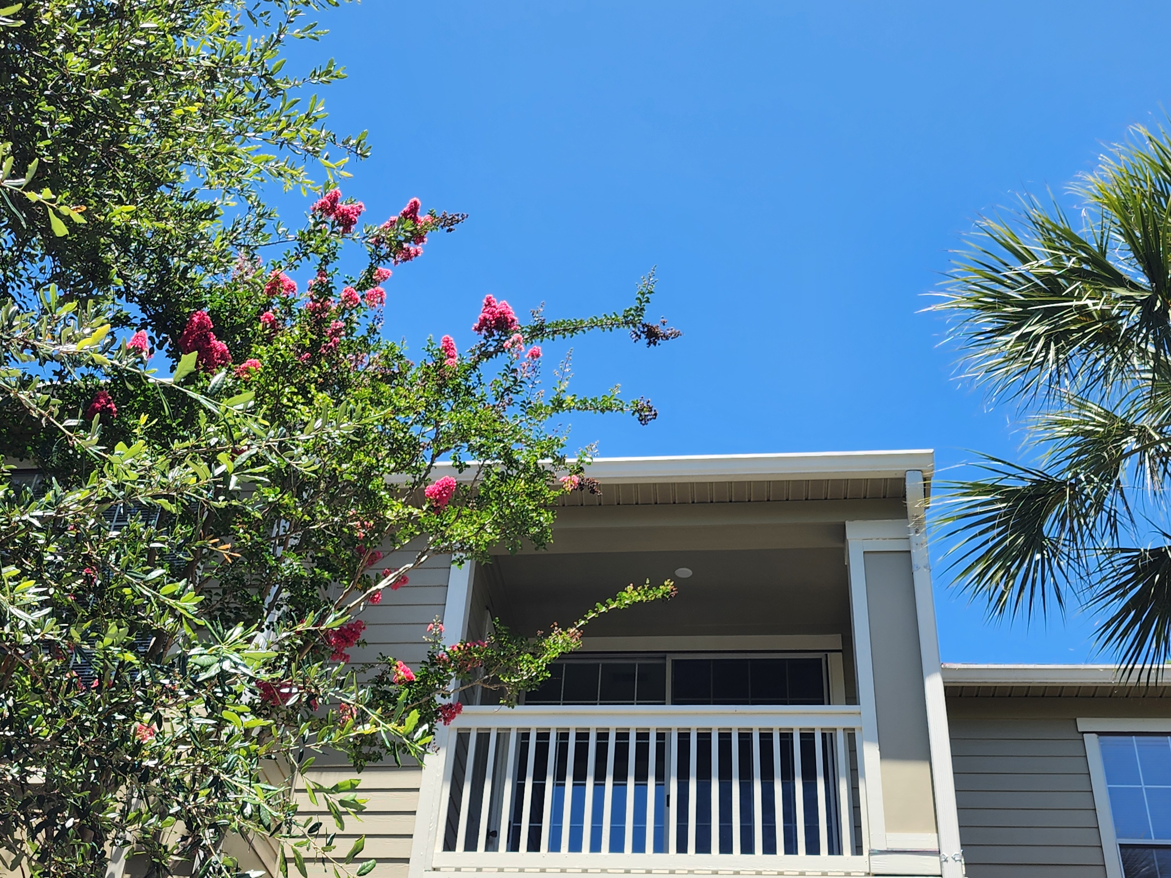 Long Term Rental 1600 LONG GROVE UNIT 623
